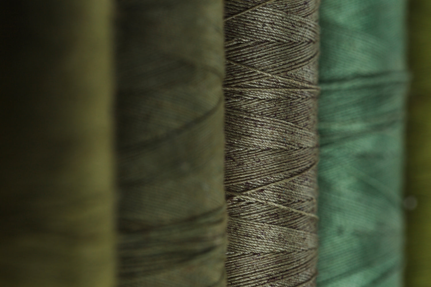 Mon collectionneur Shop