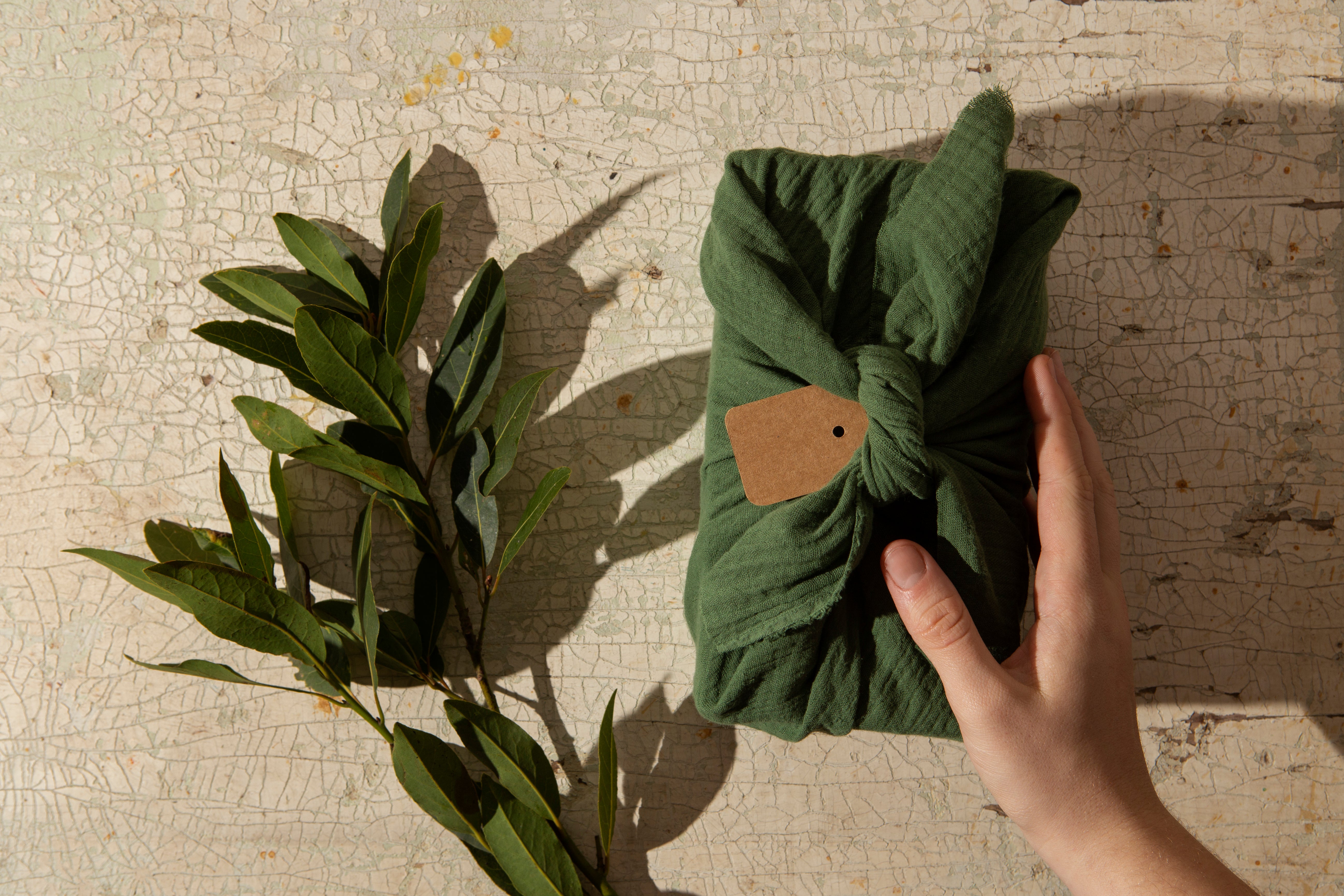 Mon collectionneur Shop